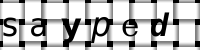 CAPTCHA image